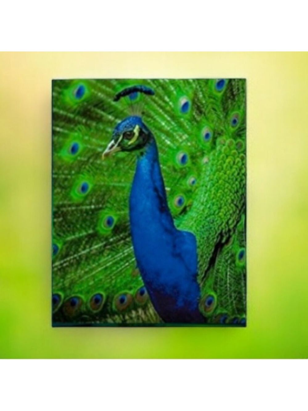 25 10X13 Poly Mailers Royal Peacock PRICE IS FIRM - Picture 4 of 13